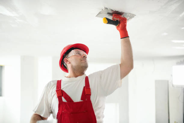 Best Fire-Damaged Drywall Repair  in Fayetteville, NY