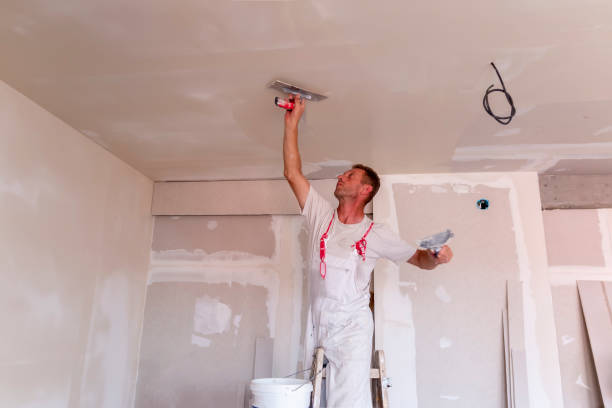 Best Eco-Friendly and Low-VOC Painting  in Fayetteville, NY